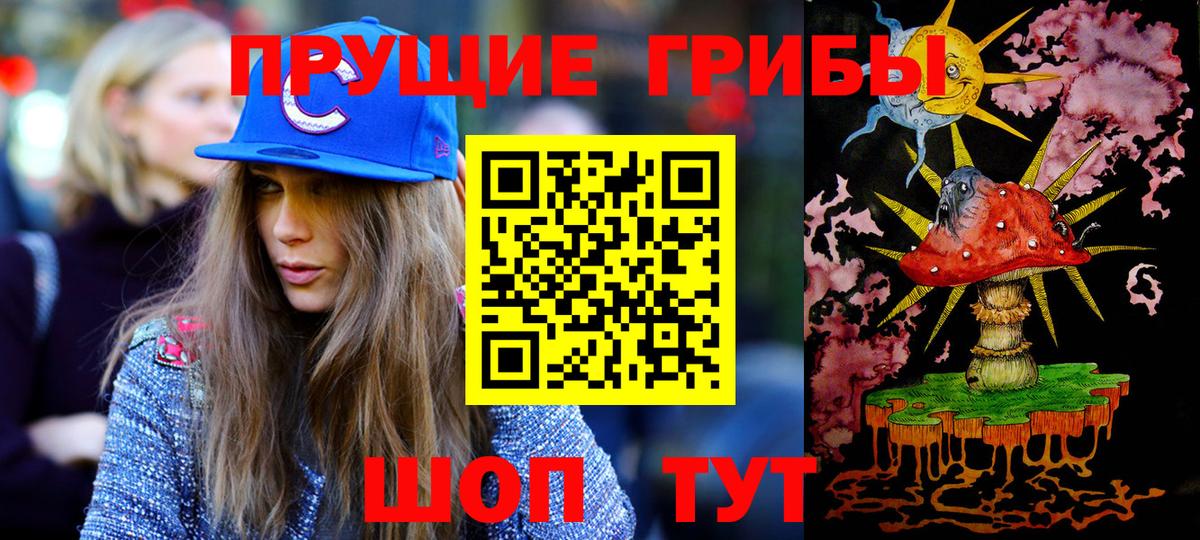 Ессентуки  Псилоцибиновые грибы Cubensis  Вход с VPN  Псилоцибиновые грибы Cubensis 