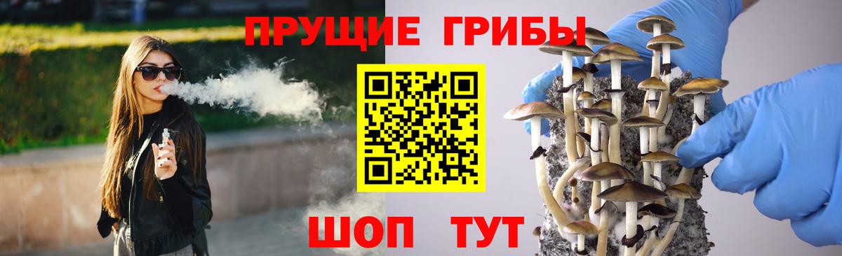 Галлюциногенные грибы Magic Shrooms Ессентуки