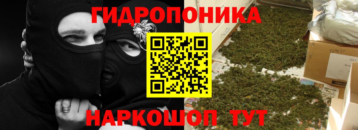 Конопля марихуана  Бошки Шишки марихуана  Вход с VPN  Ессентуки 